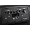 Kolumna aktywna ( z 2 mikrofonami bezprzewodowymi, SD, Bluetooth, USB) 15" 120W Kolumna aktywna ( z 2 mikrofonami bezprzewodowymi, SD, Bluetooth, USB) 15" 120W