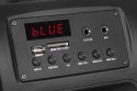 Aktywna kolumna głośnikowa (z 2 mikrofonami bezprzewodowymi UHF, SD, Bluetooth, FM, USB) 20 Watt Aktywna kolumna głośnikowa (z 2 mikrofonami bezprzewodowymi UHF, SD, Bluetooth, FM, USB) 20 Watt