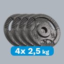 Zestaw obciążeń żeliwnych 4x2.5kg, otwór 31mm, talerz z uchwytami, REBEL ACTIVE Zestaw obciążeń żeliwnych 4x2.5kg, otwór 31mm, talerz z uchwytami, REBEL ACTIVE
