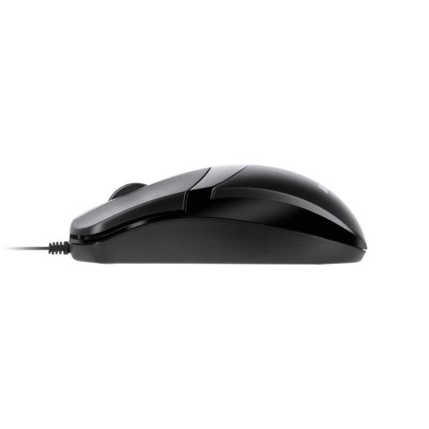Klawiatura + mysz Rebel WDS100 Klawiatura + mysz Rebel WDS100