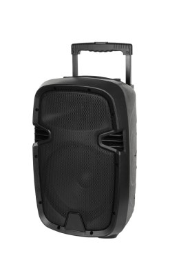 Kolumna aktywna ( z 2 mikrofonami bezprzewodowymi, SD, Bluetooth, USB) 10