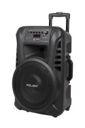 Kolumna aktywna ( z 2 mikrofonami bezprzewodowymi, SD, Bluetooth, USB) 12" 40W Kolumna aktywna ( z 2 mikrofonami bezprzewodowymi, SD, Bluetooth, USB) 12" 40W